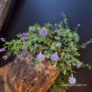 Halve Bol Biddle- Paars || 30 cm