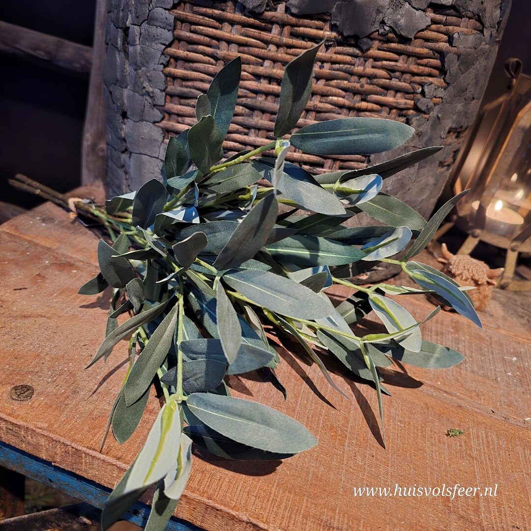 Olijf takken || Bundel - Afbeelding 5
