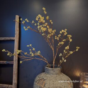 Grote Zijdetak Callicarpa- 118 cm || Groen