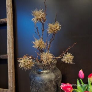 Zijdetak Spider || Groen