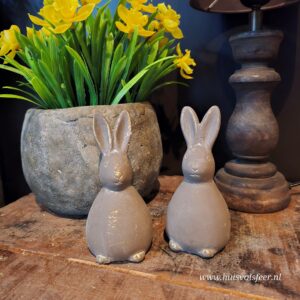 Haasje Grijs met Goud Sparkle