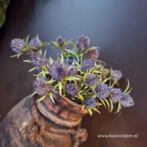 Bundel Eryngium || Paars/ blauw
