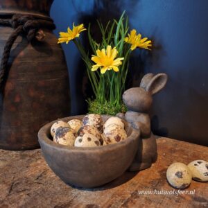 Tealightcup Hare Surprise- Majestic Brown || Brynxz