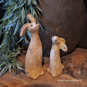 Haas Lang Misty || 20 cm