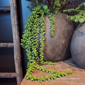 Zijdetak Hanging Pea – Excellent Green || Sylxz