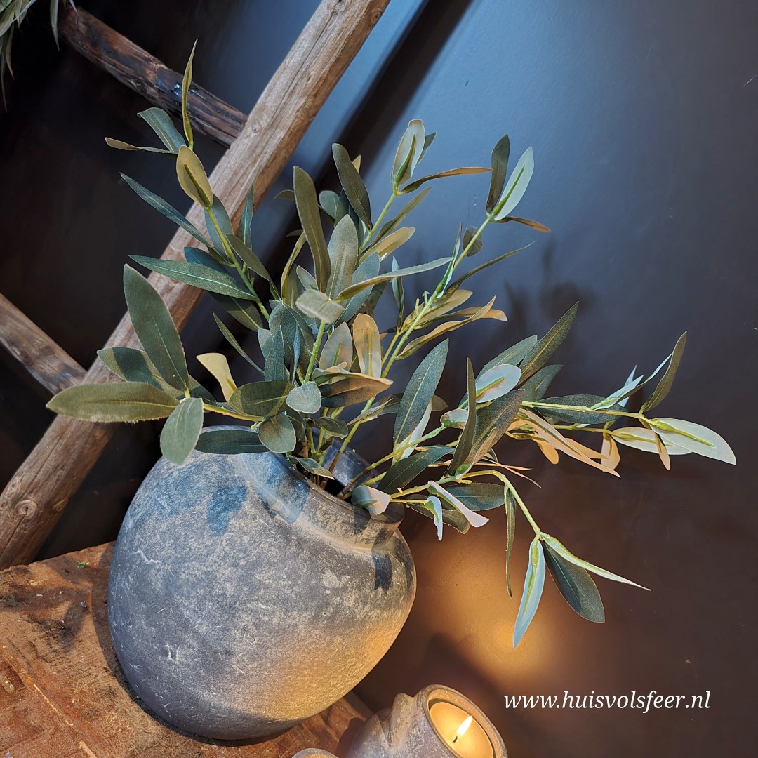 Olijf takken || Bundel - Afbeelding 2