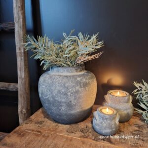 Bush Bamboo- Grey || Sylxz.