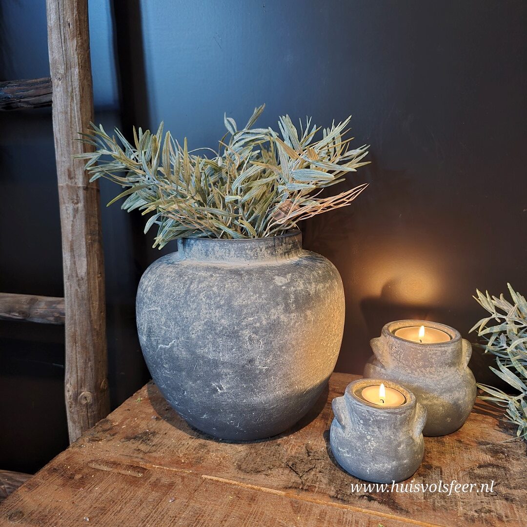 Bush Bamboo- Grey || Sylxz.