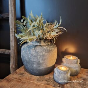 Bush Leucothoe- Grey || Sylxz.