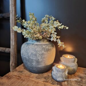 Bush Eucalyptus- Ancient Grey || Sylxz.