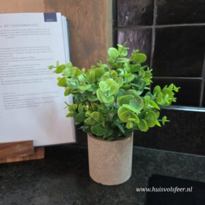 Kunstplant Eucalyptus in Pot