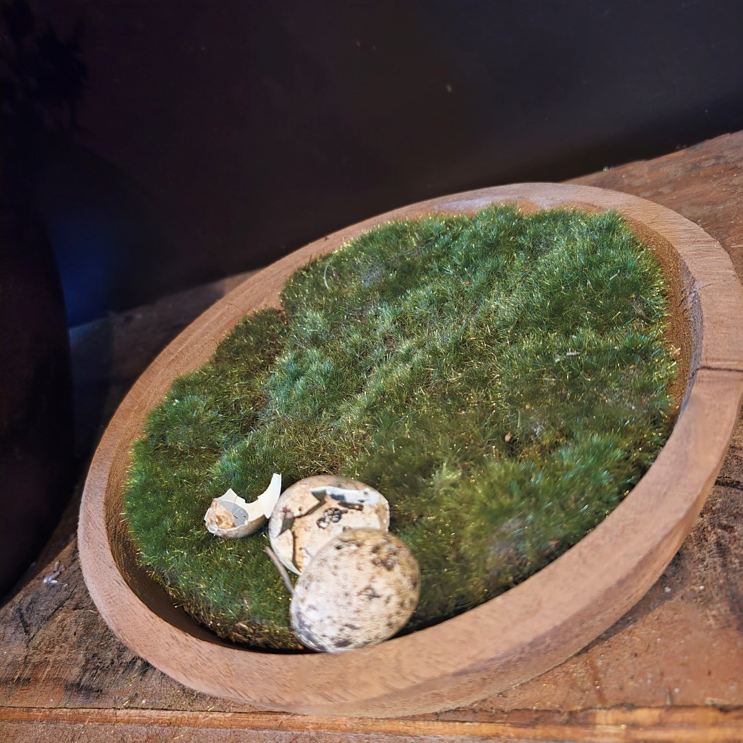 Decoratieve Mos Schijf (kunst) || Groen - Afbeelding 4