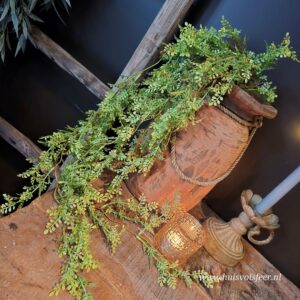 Hanging Finest Fern- Green || Sylxz