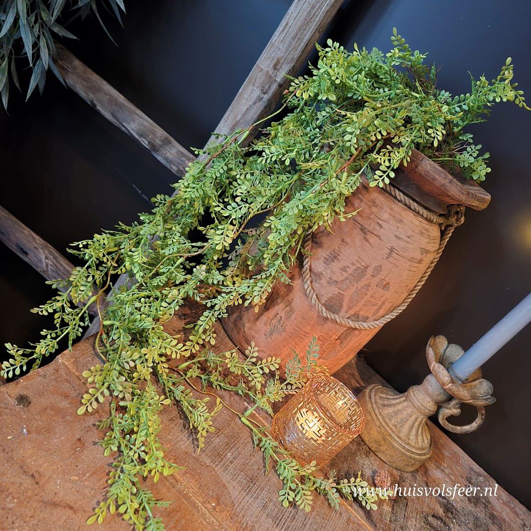 Hanging Finest Fern- Green || Sylxz