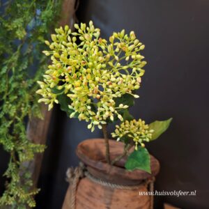 Zijdetak Oregano- Bloesem || Geel