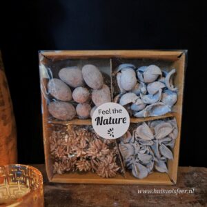 Gedroogde Decoratie || Mix Set