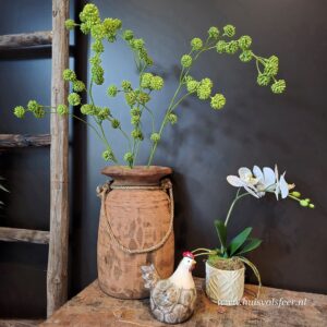 Trifolium (Klaver)- Groen || Zijdetak