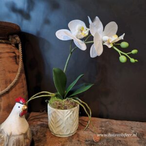 Phalaenopsis in Pot- 38 cm || Orchidee (kunst)