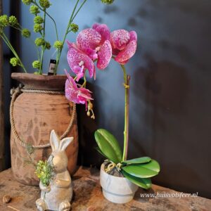 Phalaenopsis in Pot Roze- 43 cm || Orchidee (kunst)