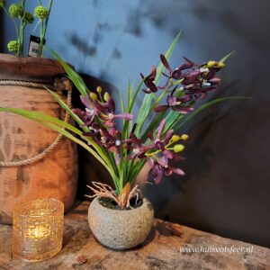 Odontocidium- Kunstplant ||  Bordeaux Paars