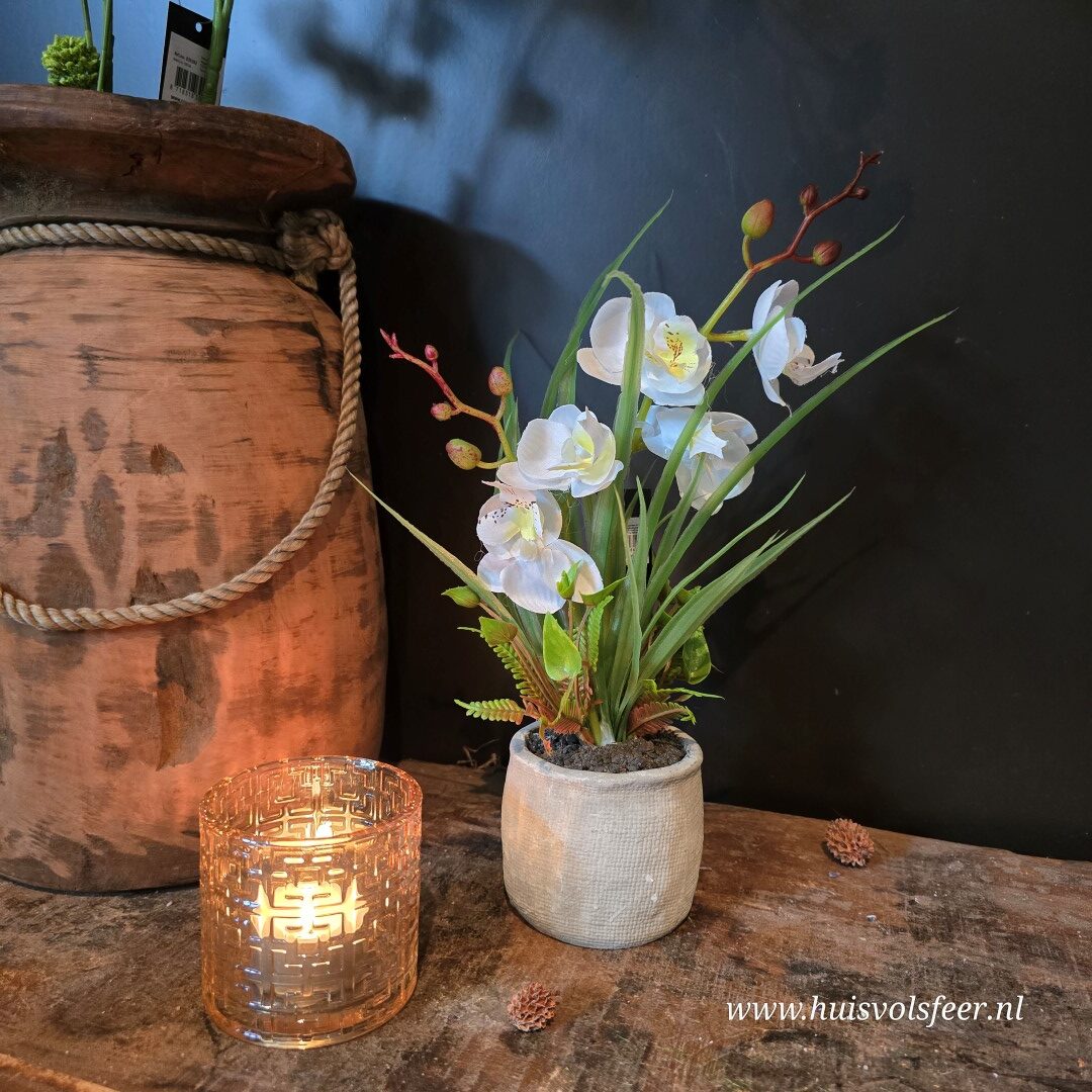 Phalaenopsis Arrangement in Pot || Witte Orchidee (kunst) - Afbeelding 2