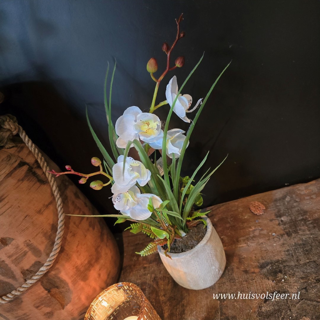 Phalaenopsis Arrangement in Pot || Witte Orchidee (kunst) - Afbeelding 3