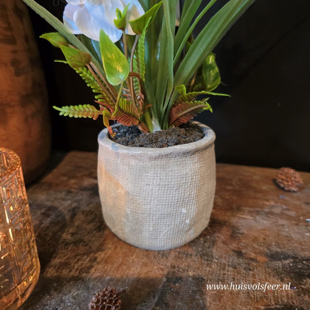 Phalaenopsis Arrangement in Pot || Witte Orchidee (kunst) - Afbeelding 4