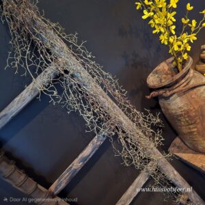 Hanging Tillandsia- Brown || Sylxz