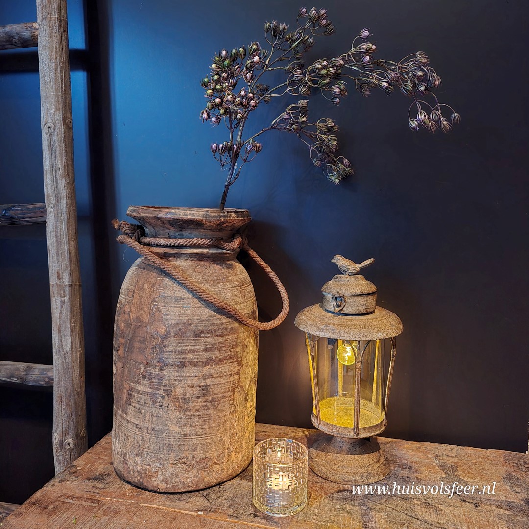 Conyza- Zijdetak || Paars - Afbeelding 2