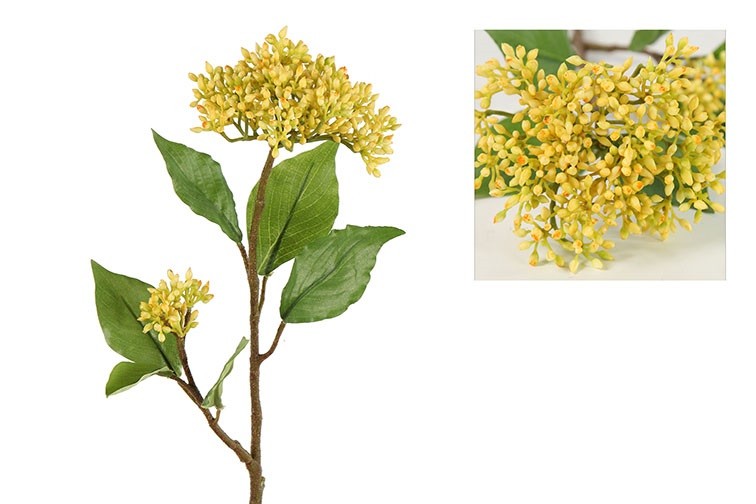 Zijdetak Oregano- Bloesem || Geel - Afbeelding 4