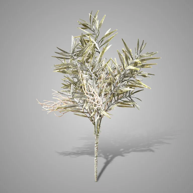 Bush Bamboo- Grey || Sylxz. - Afbeelding 5