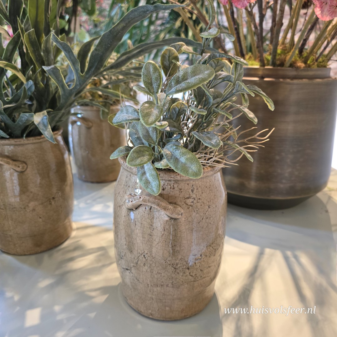 Bush Stachys- Grey || Sylxz.