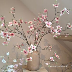 Cornus Excellent Grande Pink- 110 cm || Sylxz