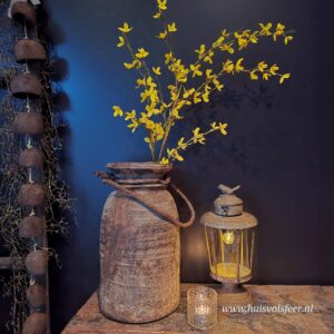Grote Zijdetak Forsythia- 104 cm || Geel