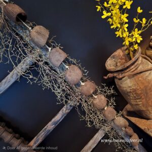 Guirlande Palm Pod – Nature