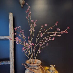 Grote Zijdetak Callicarpa- 118 cm || Rood