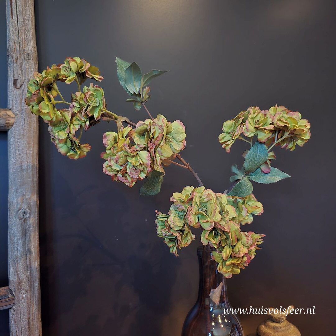 Prunus Sakura Green- Zijdetak || Sylxz