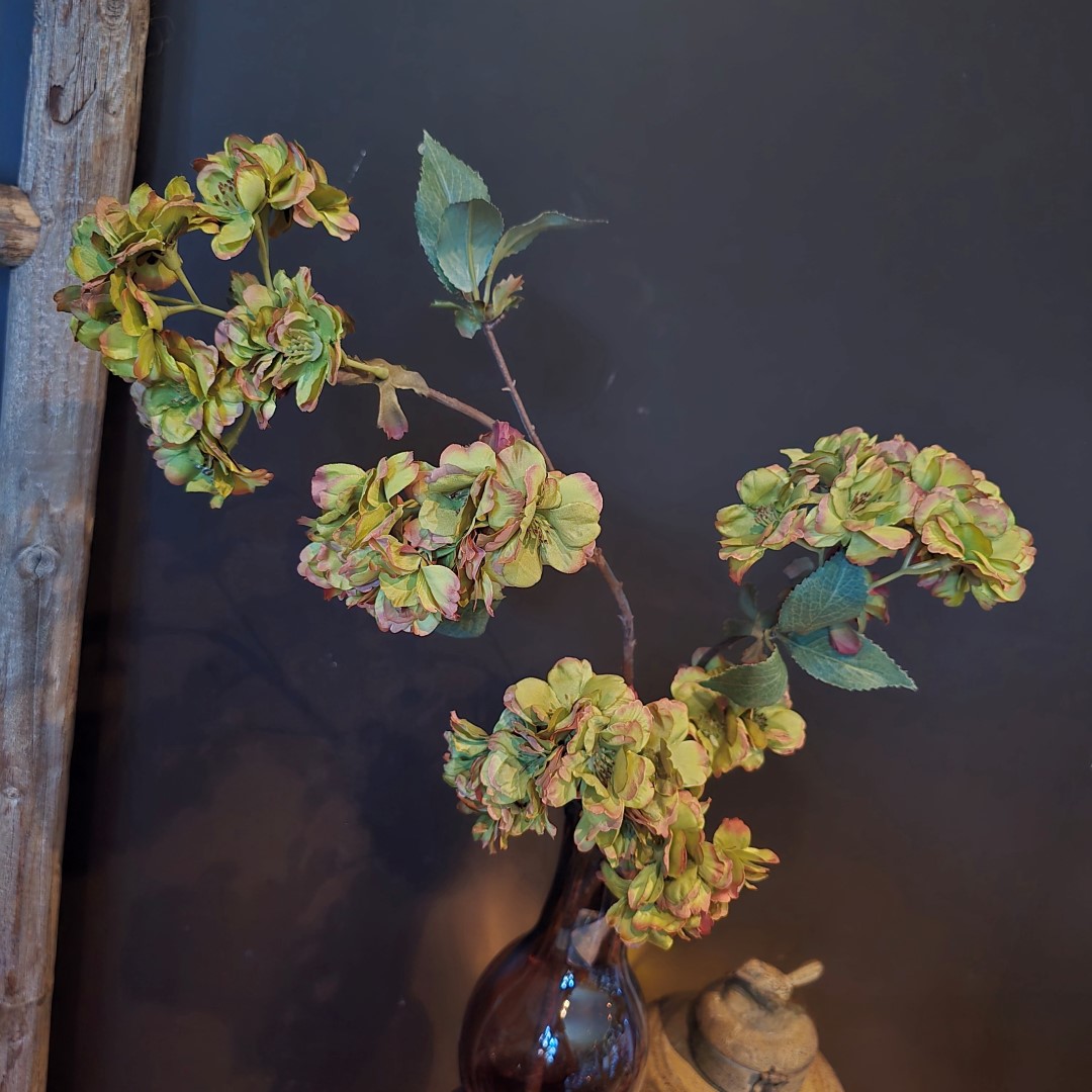 Prunus Sakura Green- Zijdetak || Sylxz - Afbeelding 3