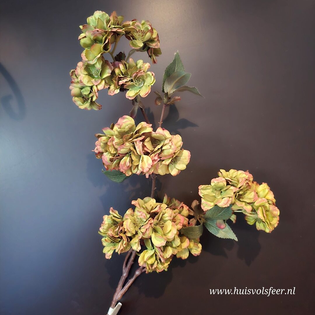 Prunus Sakura Green- Zijdetak || Sylxz - Afbeelding 4