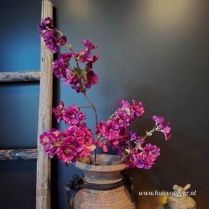 Prunus Sakura Dark Purple- Zijdetak || Sylxz