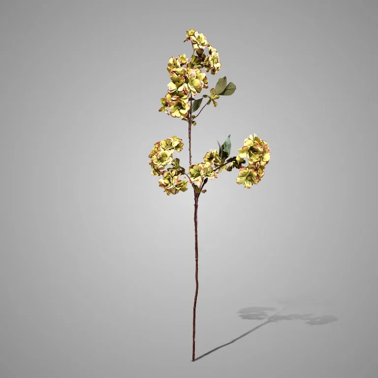 Prunus Sakura Green- Zijdetak || Sylxz - Afbeelding 6