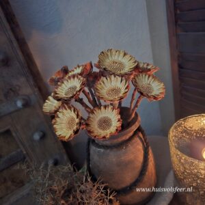 Protea- Boeket
