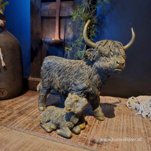 Schotse Hooglander || Moeder met Kalf