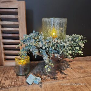 Eucalyptus Krans || 41 cm