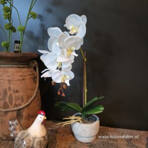 Orchidee in Pot- 43 cm || Wit