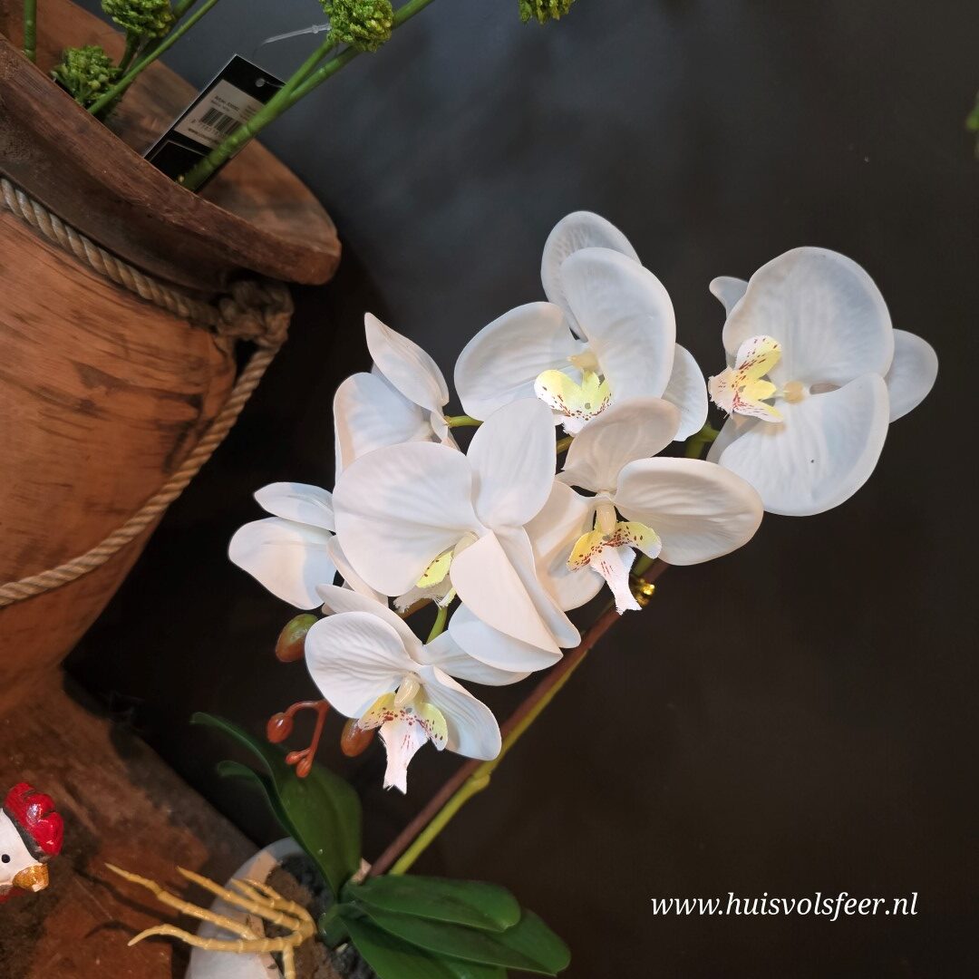 Orchidee in Pot- 43 cm || Wit - Afbeelding 3