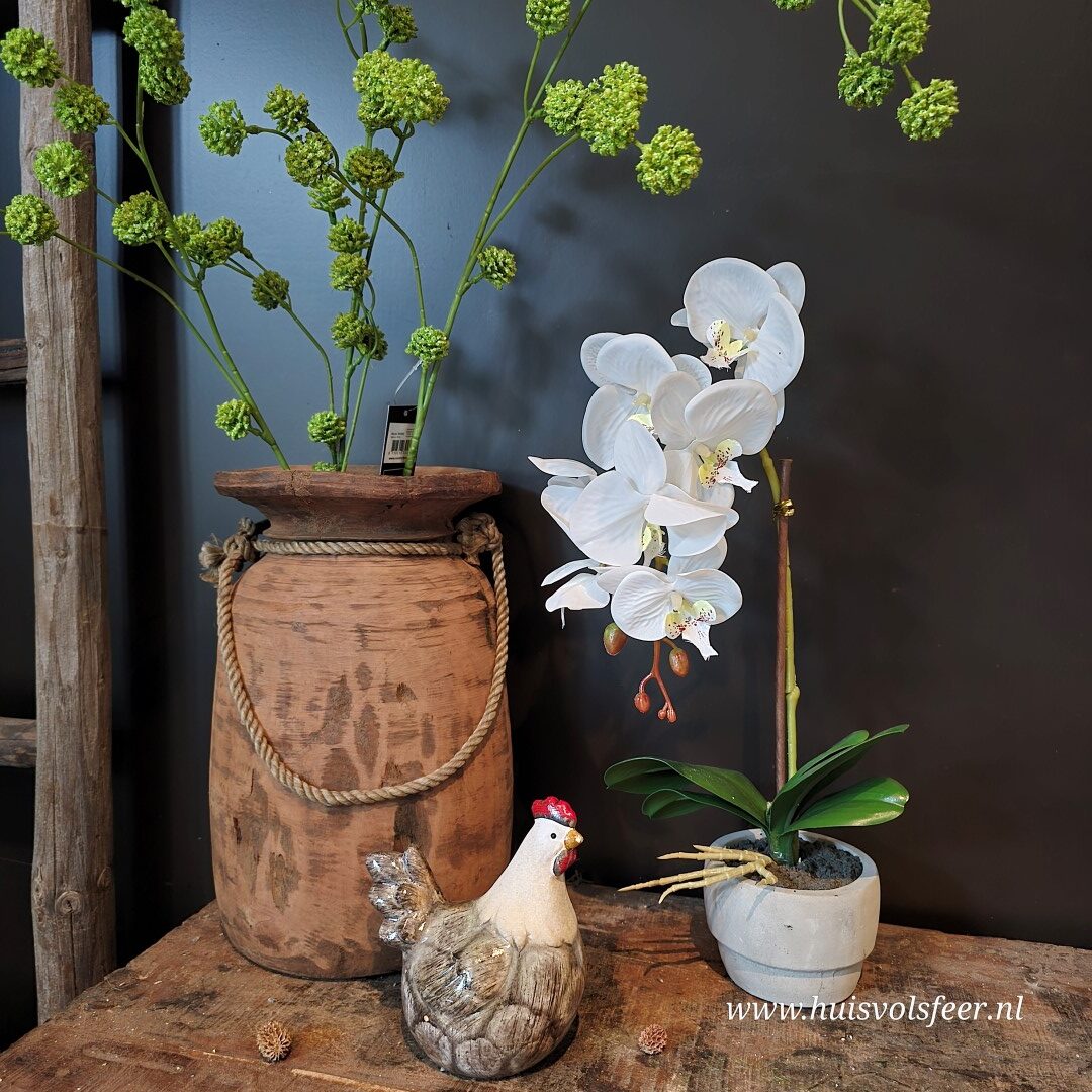 Orchidee in Pot- 43 cm || Wit - Afbeelding 4