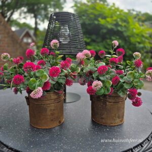Pom Pom Pink Beauty Bush- Kunsttak || UV-bestendig