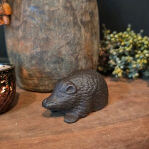 Egel van gietijzer