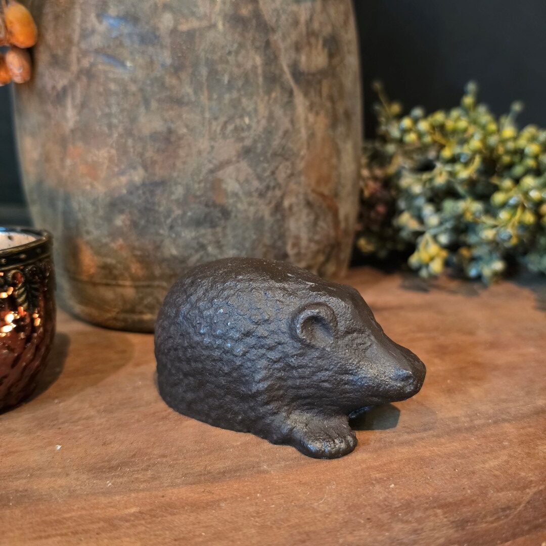 Egel van gietijzer - Afbeelding 2